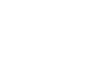 Dynamax Dynamax
