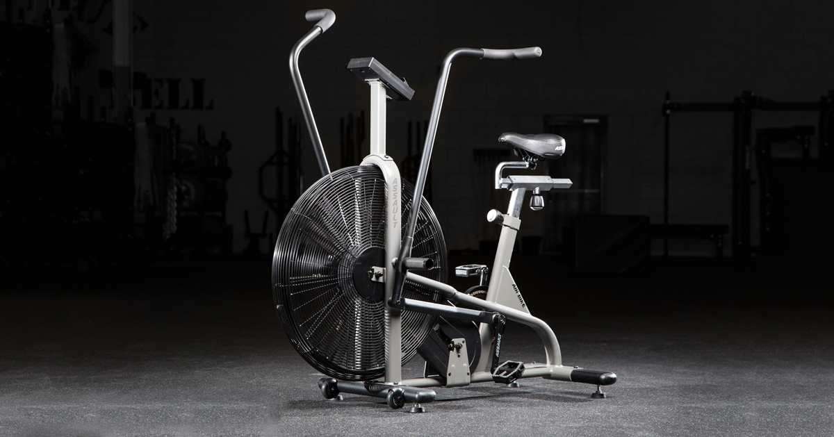 rogue fitness air assault bike