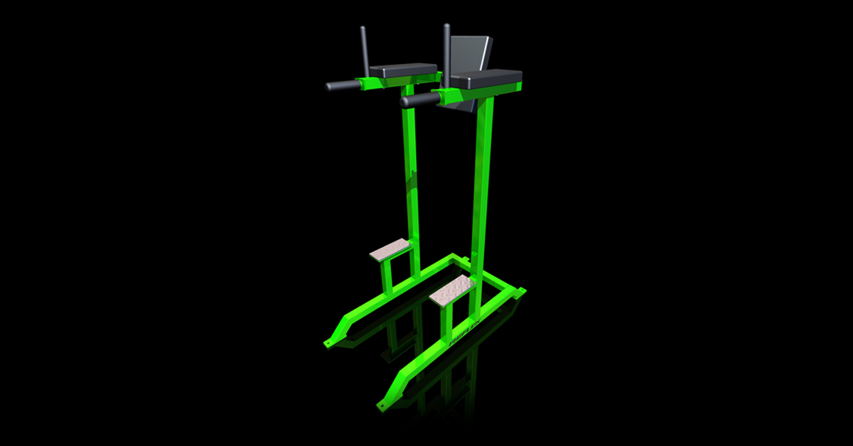 Reflex Abdominal Leg Raise/Dip Station Rogue Fitness