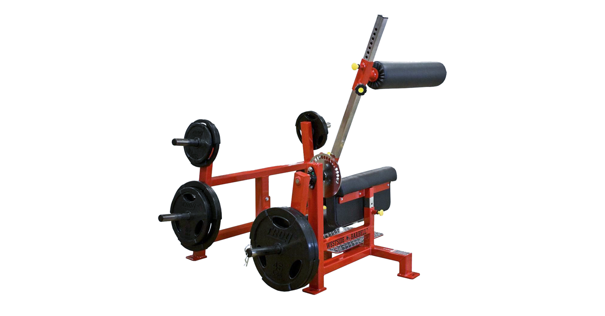 Westside Anterior Chain Developer Rogue Fitness