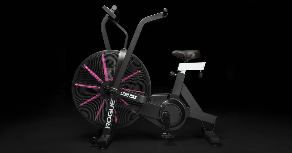 rogue fitness bike echo