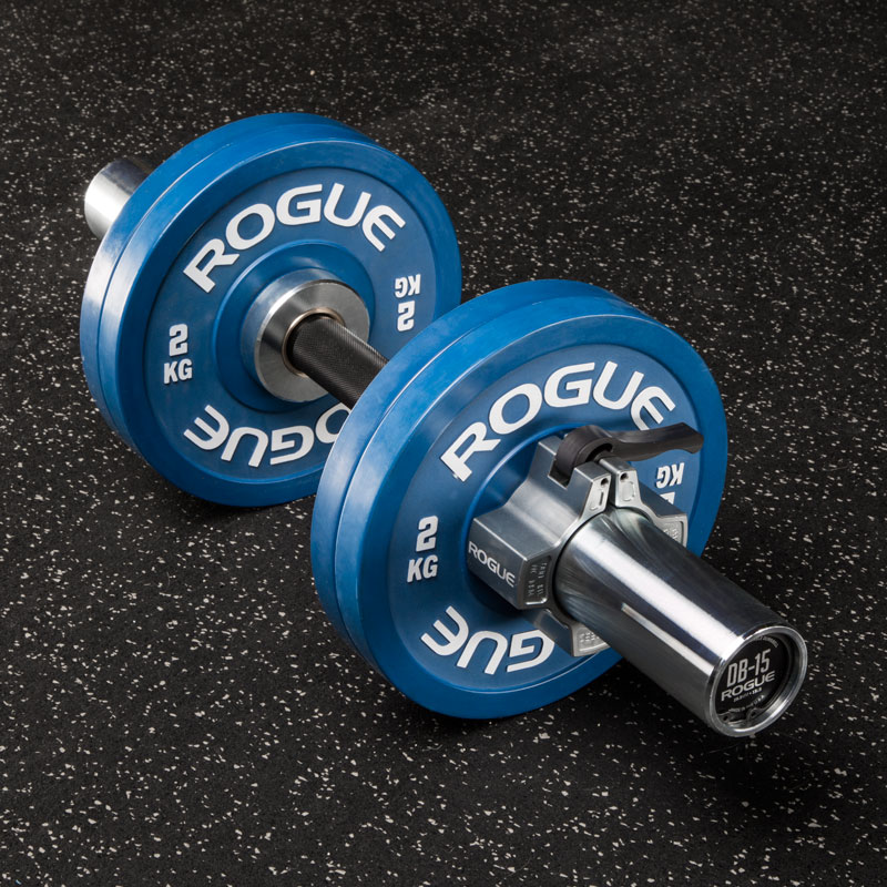 Rogue Loadable Dumbbells Rogue Fitness
