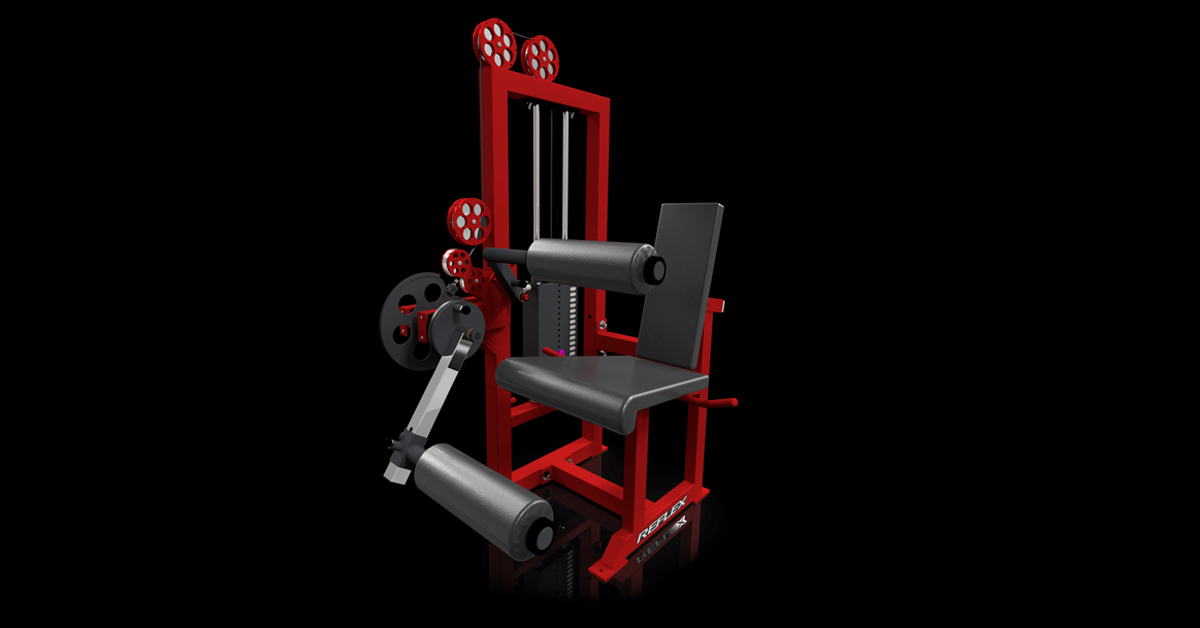 Reflex Leg curl/leg extension Rogue Fitness