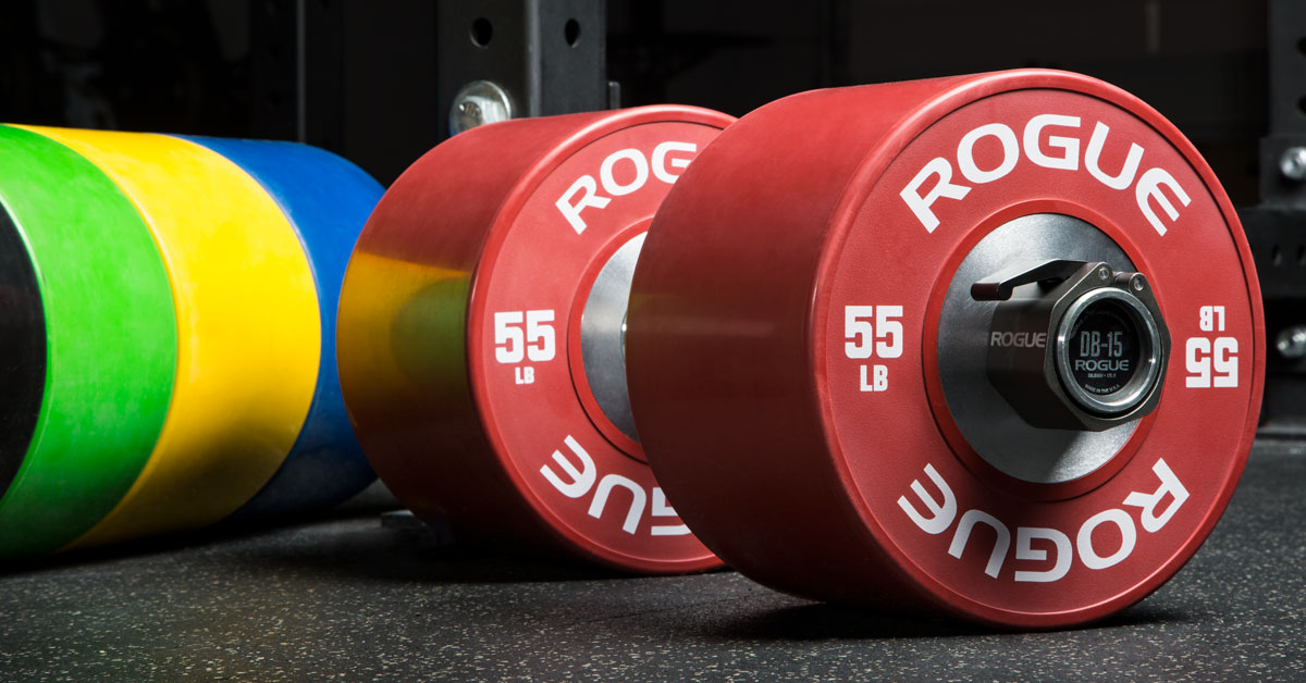 Rogue Dumbbell Bumpers Rogue Fitness