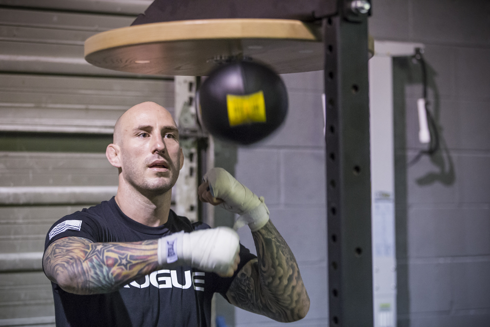 Rogue Rig Mount Speed Bag Platforms Rogue Fitness