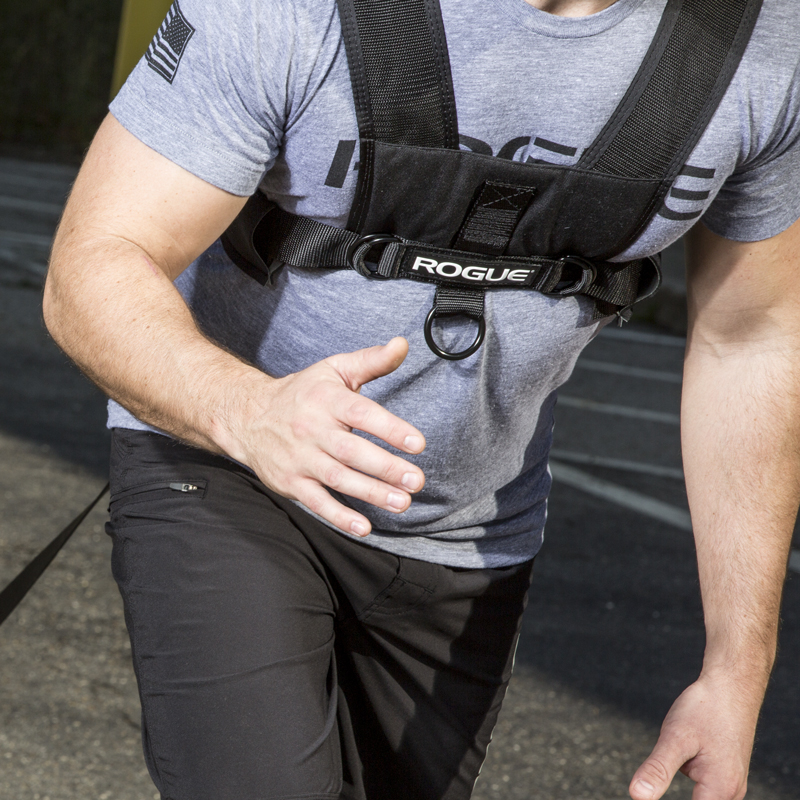 Rogue Sled Harness Rogue Fitness