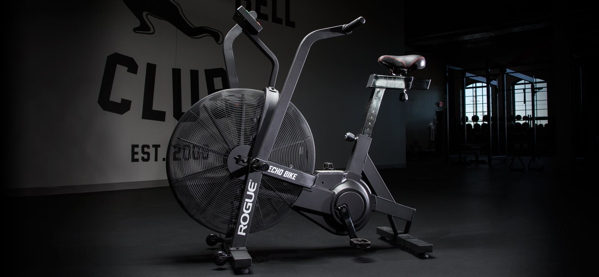 Rogue Echo Bike