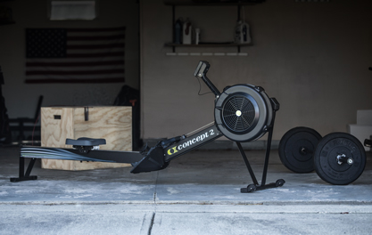 rogue erg bike