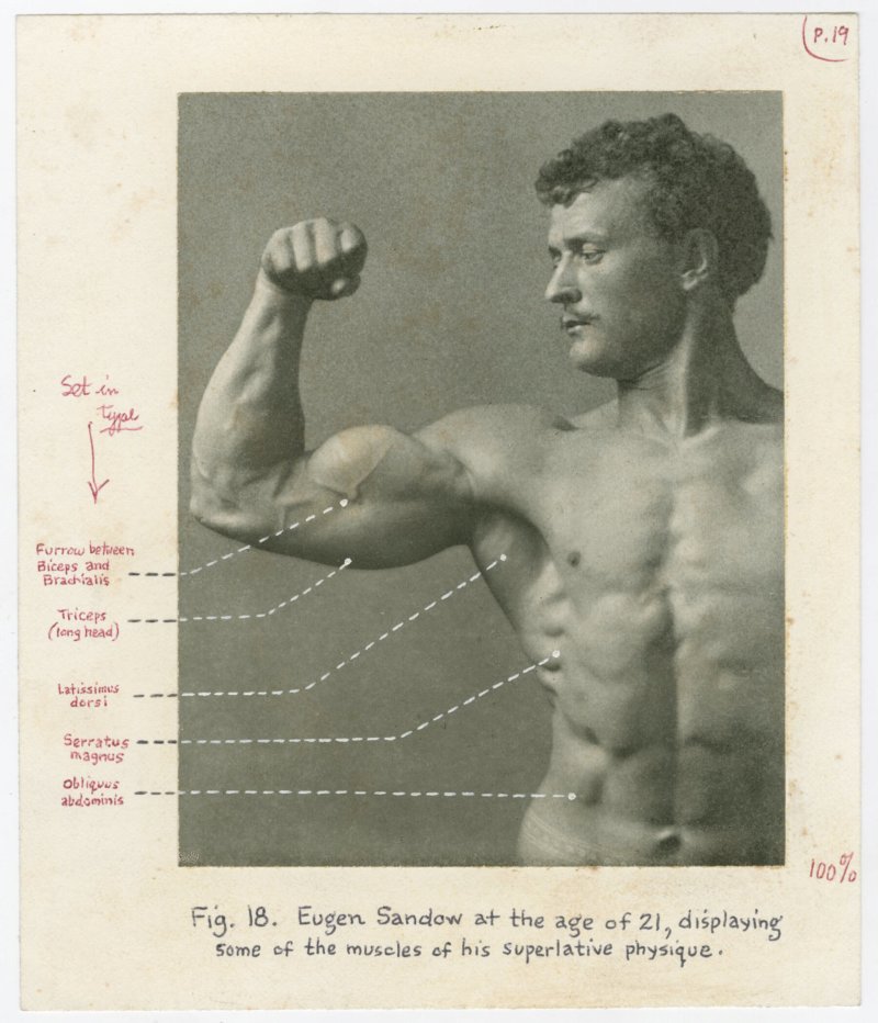 Eugen Sandow at the age of 21