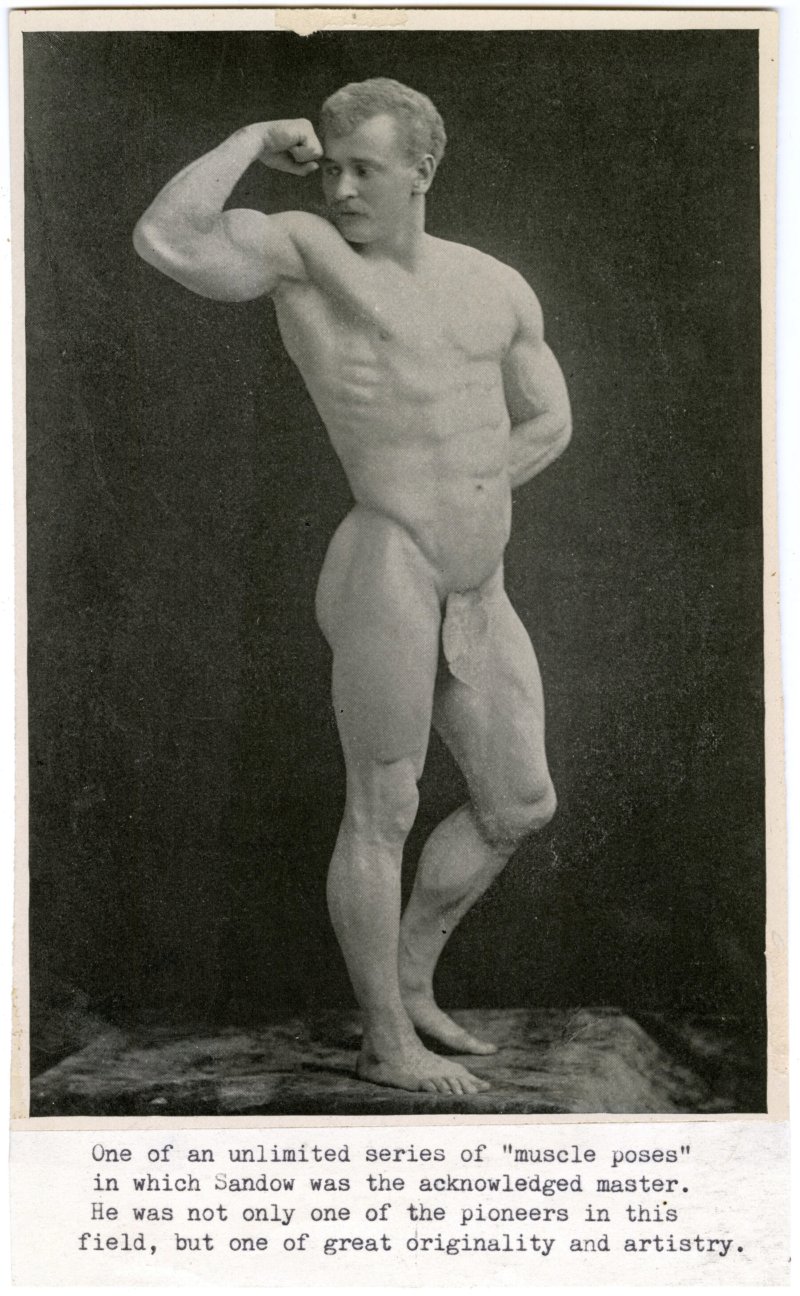Sanndow Side Pose Right Arm Flexed The Index